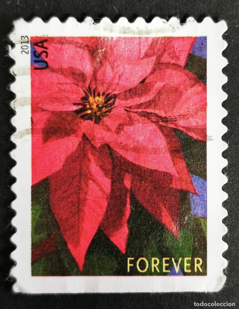 Sellos: Sello Estados Unidos U.S.A.2013,Planta de flor de Pascua grande, Sin Valor Facial, Michel US 5007IBD