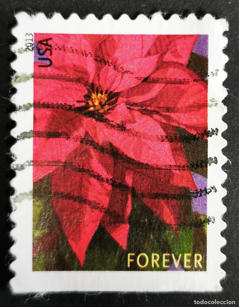 Sellos: Sello Estados Unidos U.S.A.2013,Planta de flor de Pascua grande, Sin Valor Facial, Michel US 5007IBD