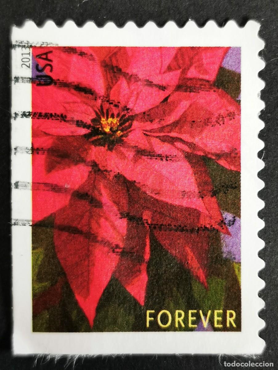 Sellos: Sello Estados Unidos U.S.A.2013,Planta de flor de Pascua grande, Sin Valor Facial, Michel US 5007IBE