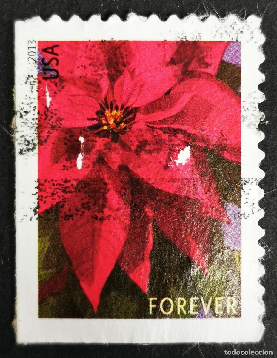 Sellos: Sello Estados Unidos U.S.A.2013,Planta de flor de Pascua grande, Sin Valor Facial, Michel US 5007IBE