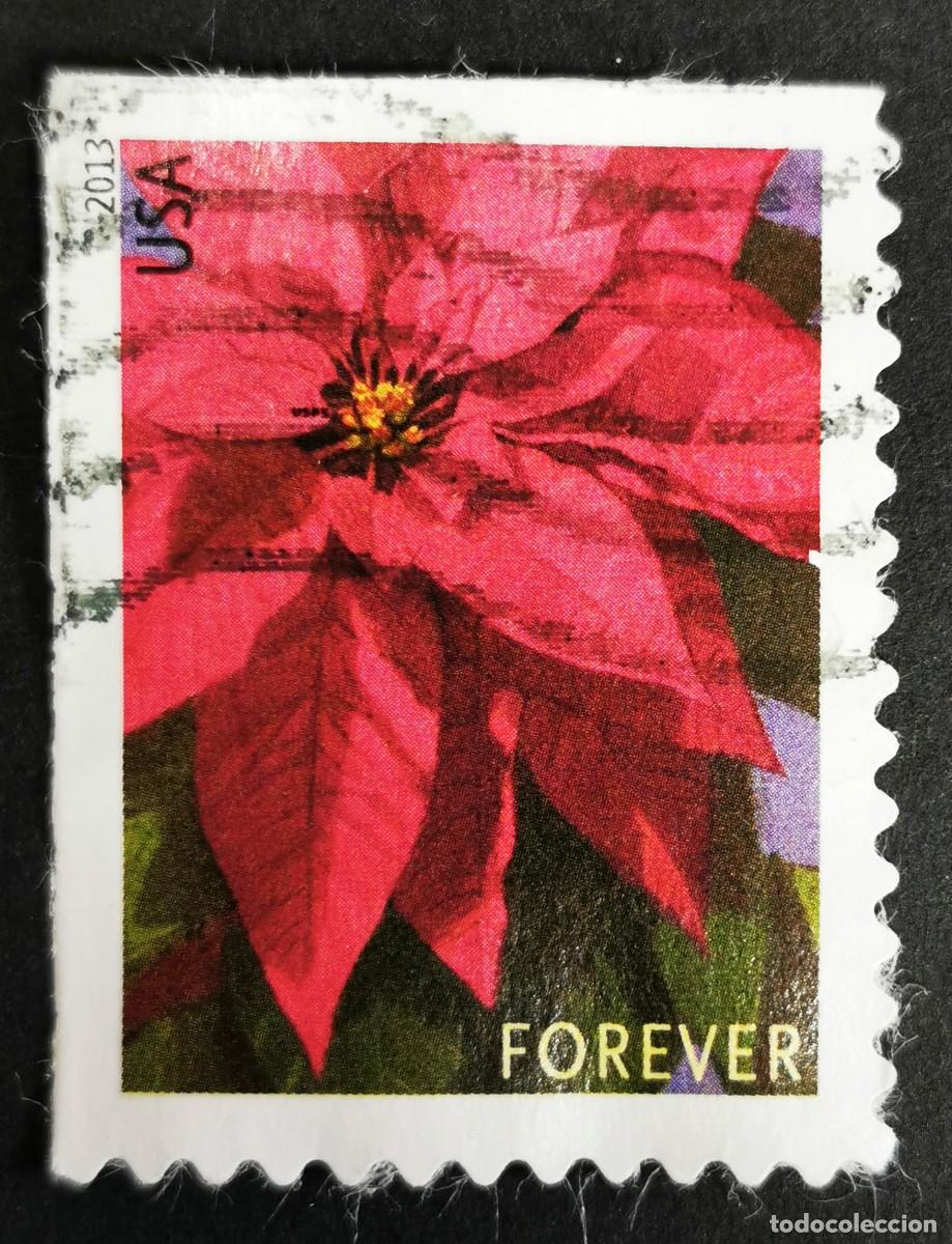 Sellos: Sello Estados Unidos U.S.A.2013,Planta de flor de Pascua grande, Sin Valor Facial, Michel US 5007IBE