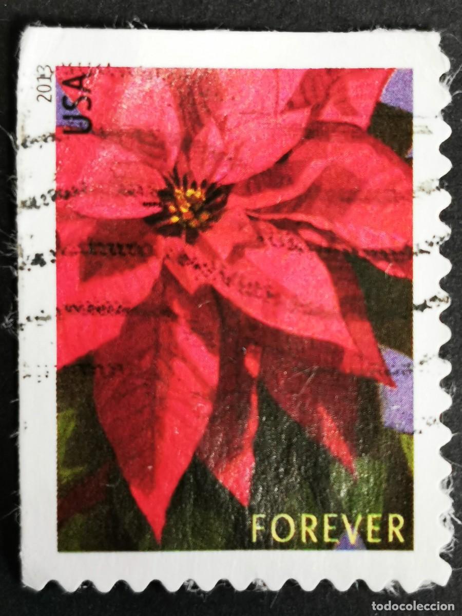 Sellos: Sello Estados Unidos U.S.A.2013,Planta de flor de Pascua grande, Sin Valor Facial, Michel US 5007IBE