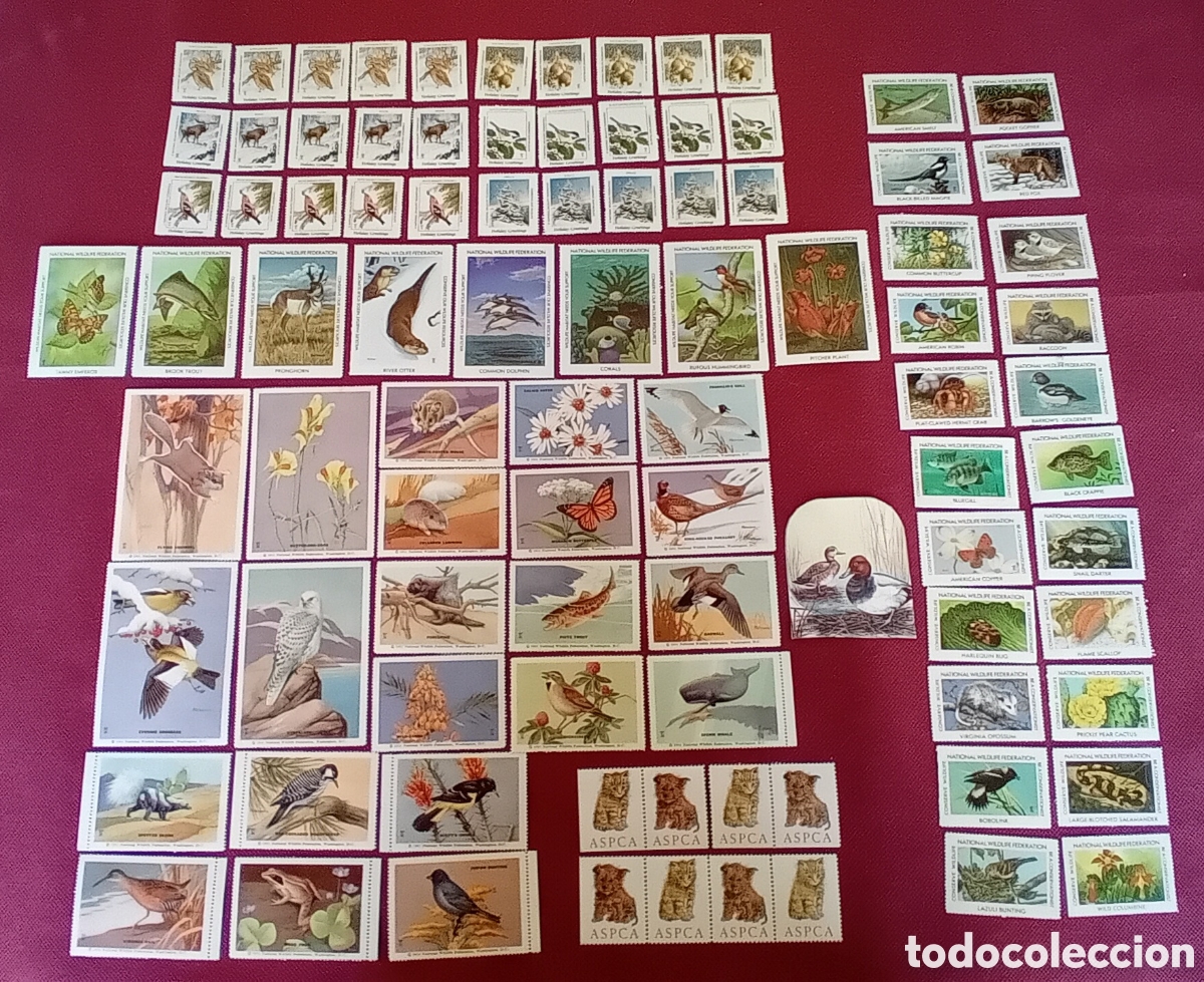 Sellos: LOTE SELLOS (90unds) CINDERELLAS USA VINTAGE MHN