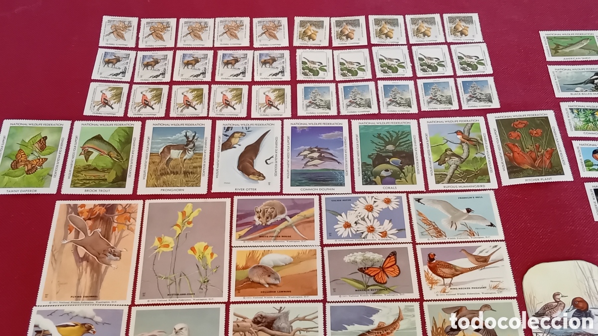 Sellos: LOTE SELLOS (90unds) CINDERELLAS USA VINTAGE MHN