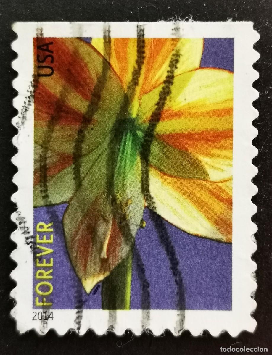 Sellos: Sello Estados Unidos U.S.A.2014,Flores de invierno: Amarilis, Sin Valor Facial, Michel US 5052BD