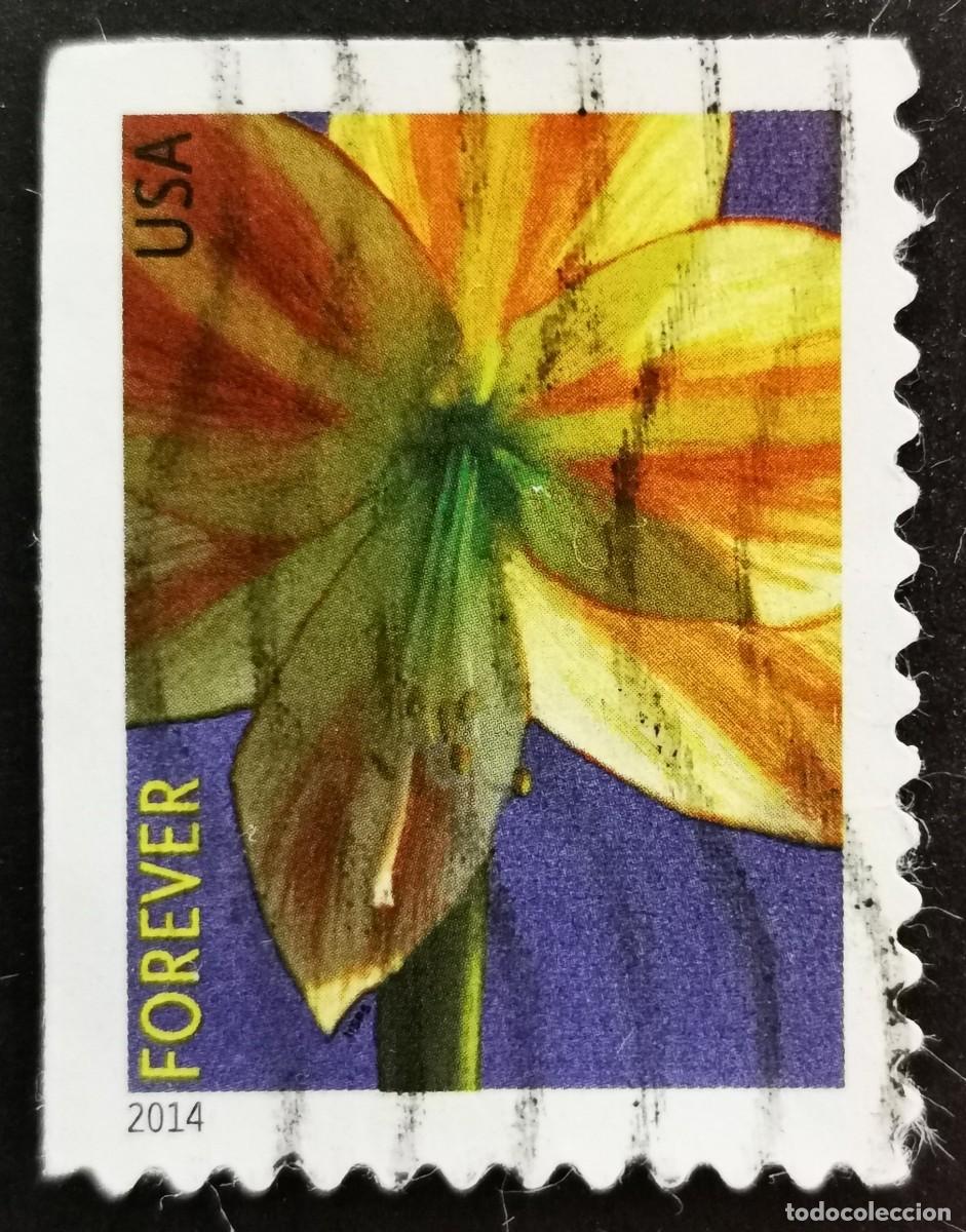 Sellos: Sello Estados Unidos U.S.A.2014,Flores de invierno: Amarilis, Sin Valor Facial, Michel US 5052BE