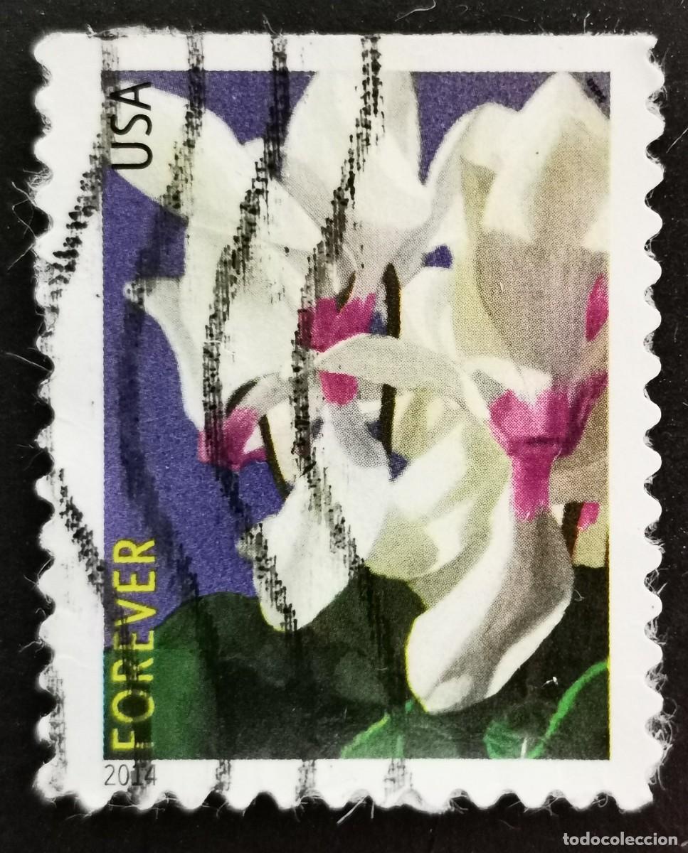 Sellos: Sello Estados Unidos U.S.A.2014,Flores de invierno: ciclamen, Sin Valor Facial, Michel US 5053BD