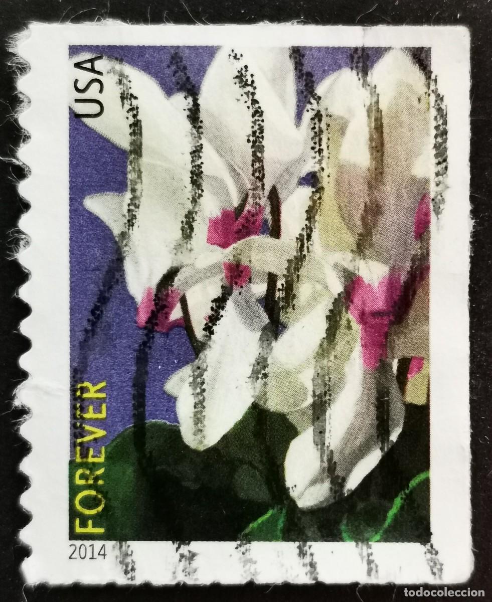 Sellos: Sello Estados Unidos U.S.A.2014,Flores de invierno: ciclamen, Sin Valor Facial, Michel US 5053BE