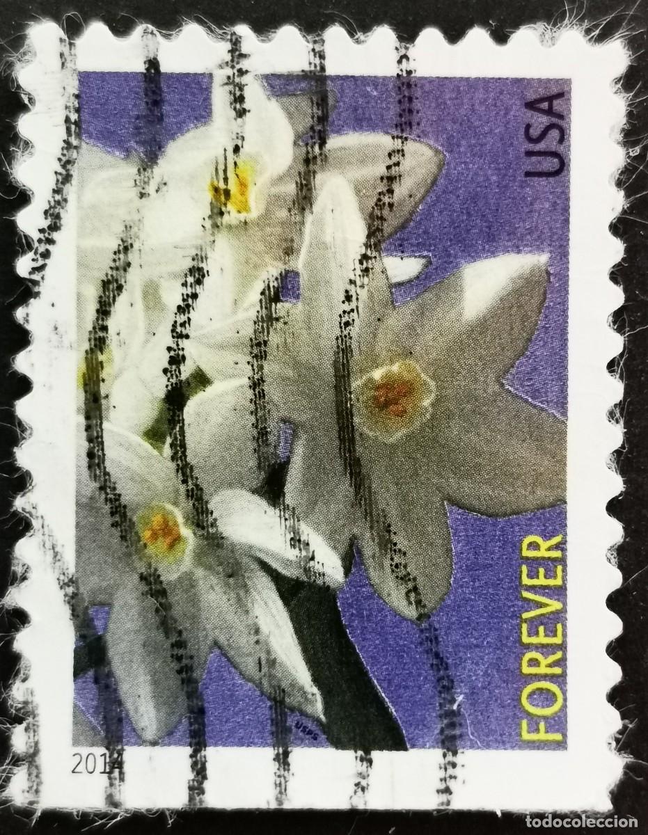 Sellos: Sello Estados Unidos U.S.A.2014,Flores de invierno: Narciso, Sin Valor Facial, Michel US 5054BD
