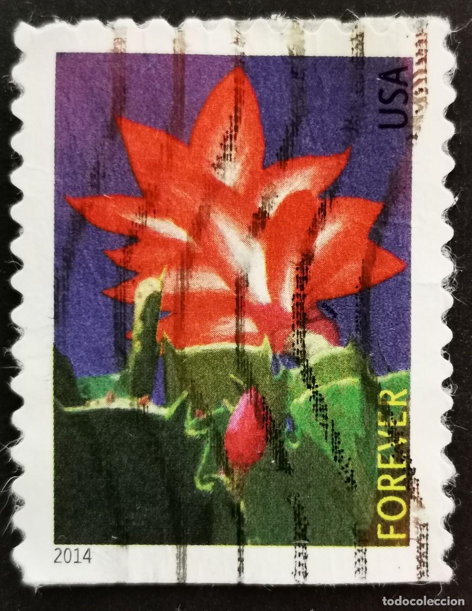 Sellos: Sello Estados Unidos U.S.A.2014,Flores de invierno: Cactus Navid, Sin Valor Facial, Michel US 5055BD