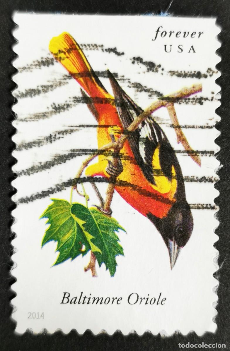Sellos: Sello Estados Unidos U.S.A.2014,Oriole de Baltimorel ictericia Sin Valor Facial, Michel US 5072BD