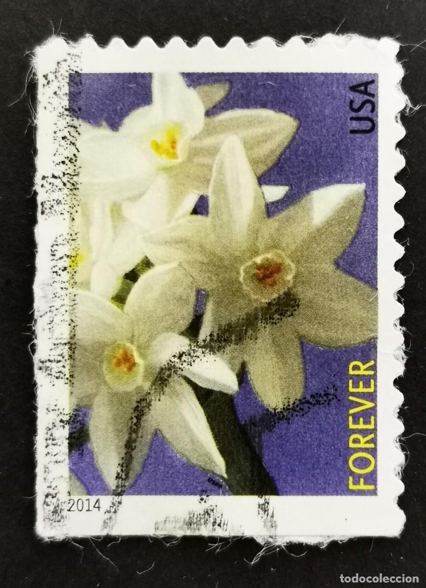 Sellos: Sello Estados Unidos U.S.A.2014,Flores de invierno: Narciso,Sin Valor Facial, Michel US 5054BE