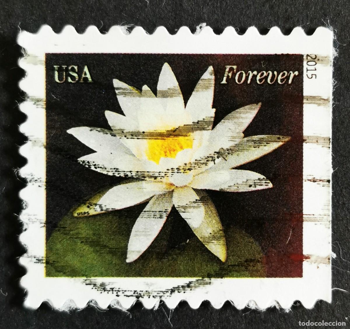Sellos: Sello Estados Unidos U.S.A.2015,Nen&uacute;fares: blancos ,Sin Valor Facial, Michel US 5156BD