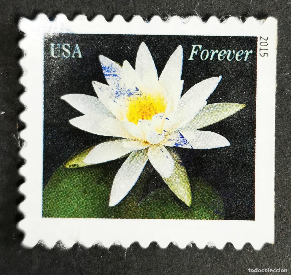 Sellos: Sello Estados Unidos U.S.A.2015,Nen&uacute;fares: blancos ,Sin Valor Facial, Michel US 5156BD