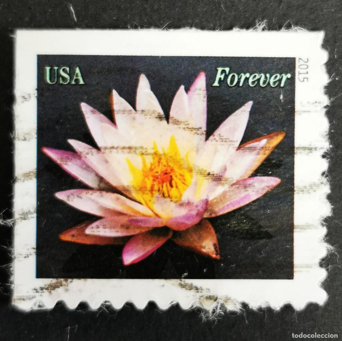 Sellos: Sello Estados Unidos U.S.A.2015,Nen&uacute;fares: rosa claro ,Sin Valor Facial, Michel US 5153BE