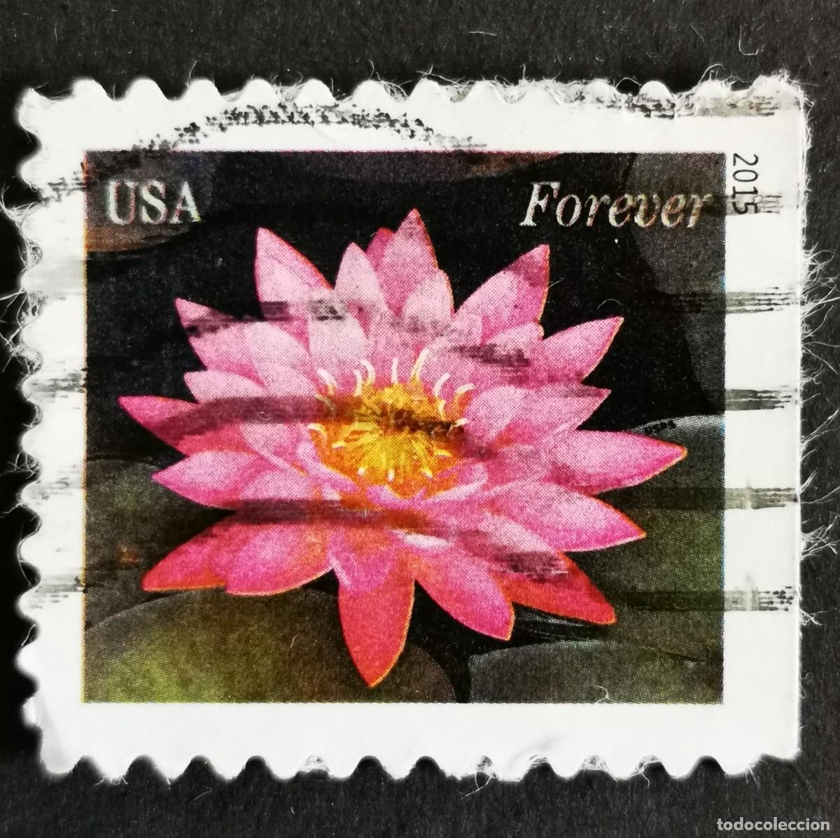Sellos: Sello Estados Unidos U.S.A.2015,Nen&uacute;fares: rosa brillante,Sin Valor Facial, Michel US 5154BE