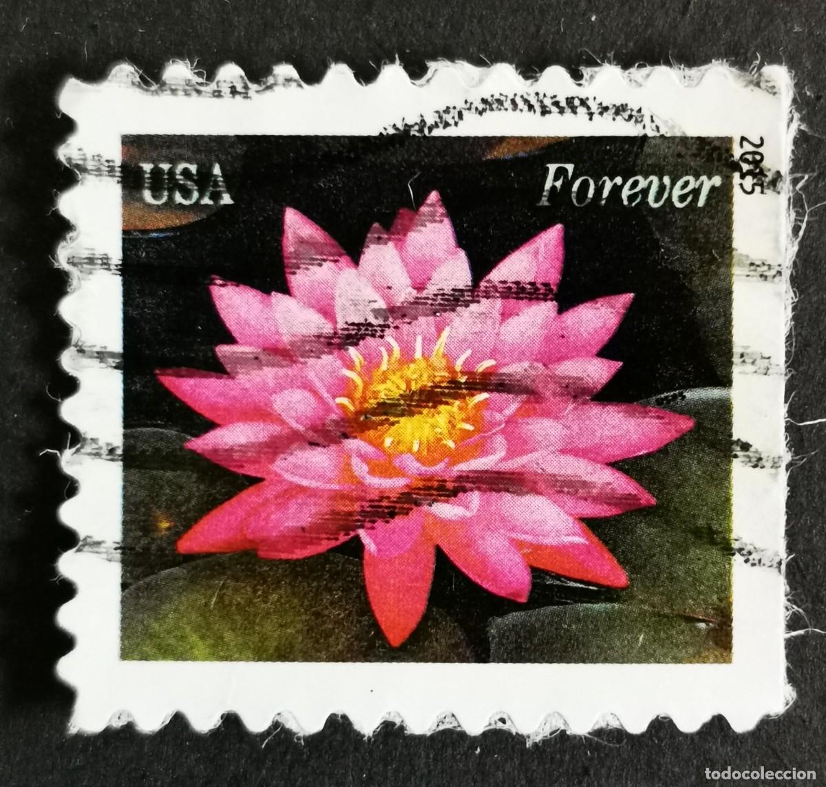 Sellos: Sello Estados Unidos U.S.A.2015,Nen&uacute;fares: rosa brillante,Sin Valor Facial, Michel US 5154BE