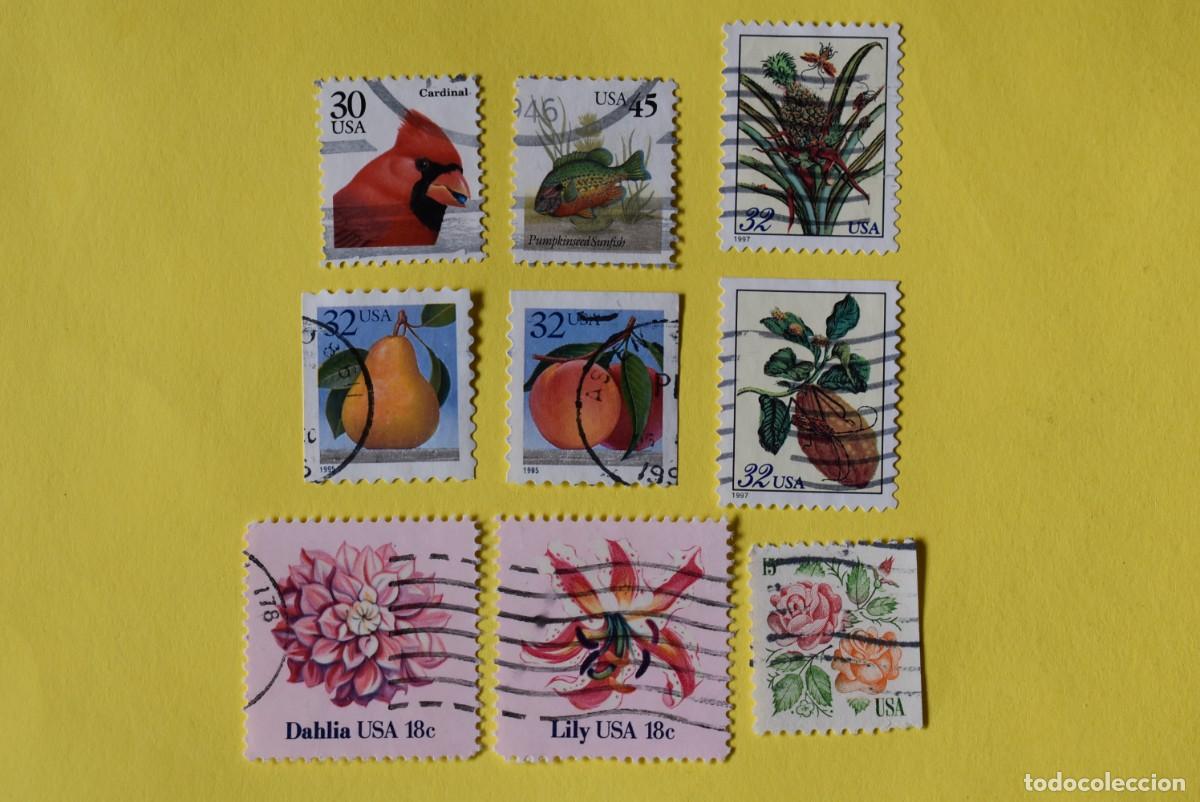 Briefmarken: Lote 9 sellos Estados Unidos. USA. EEUU. Flora y Fauna. Flores. P&aacute;jaros. Usados