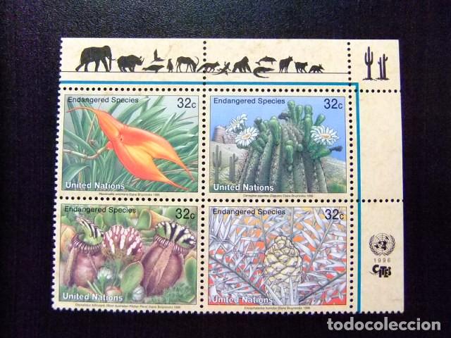 Sellos: 107 ONU NEW YORK 1996 / FLORA - PROTECCION de la NATURALEZA / YVERT 695 / 698 MNH