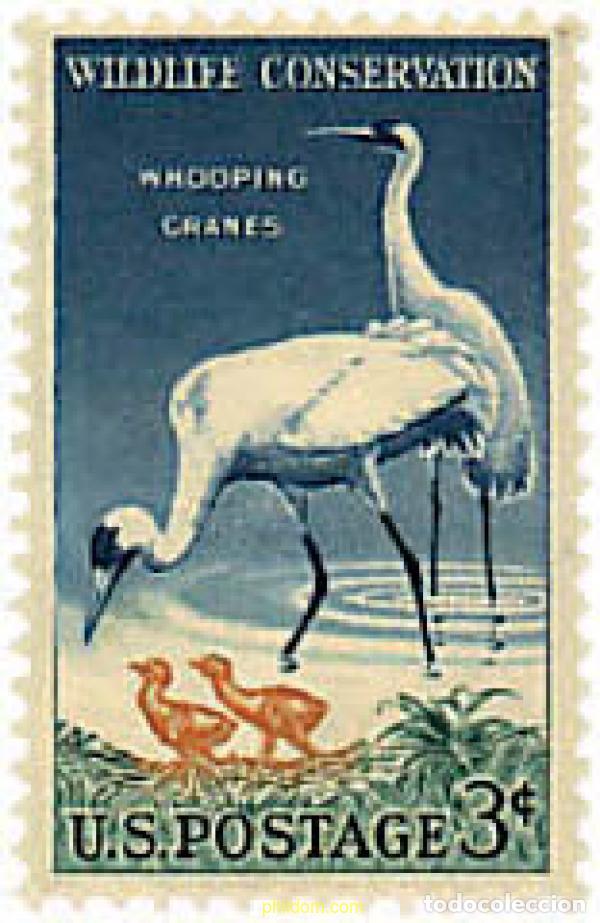 Sellos: 34179 MNH ESTADOS UNIDOS 1957 PRESERVACION DE LA FAUNA