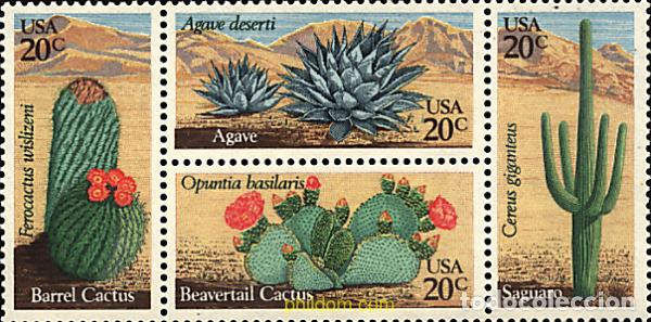 Sellos: 4888 MNH ESTADOS UNIDOS 1981 CACTUS