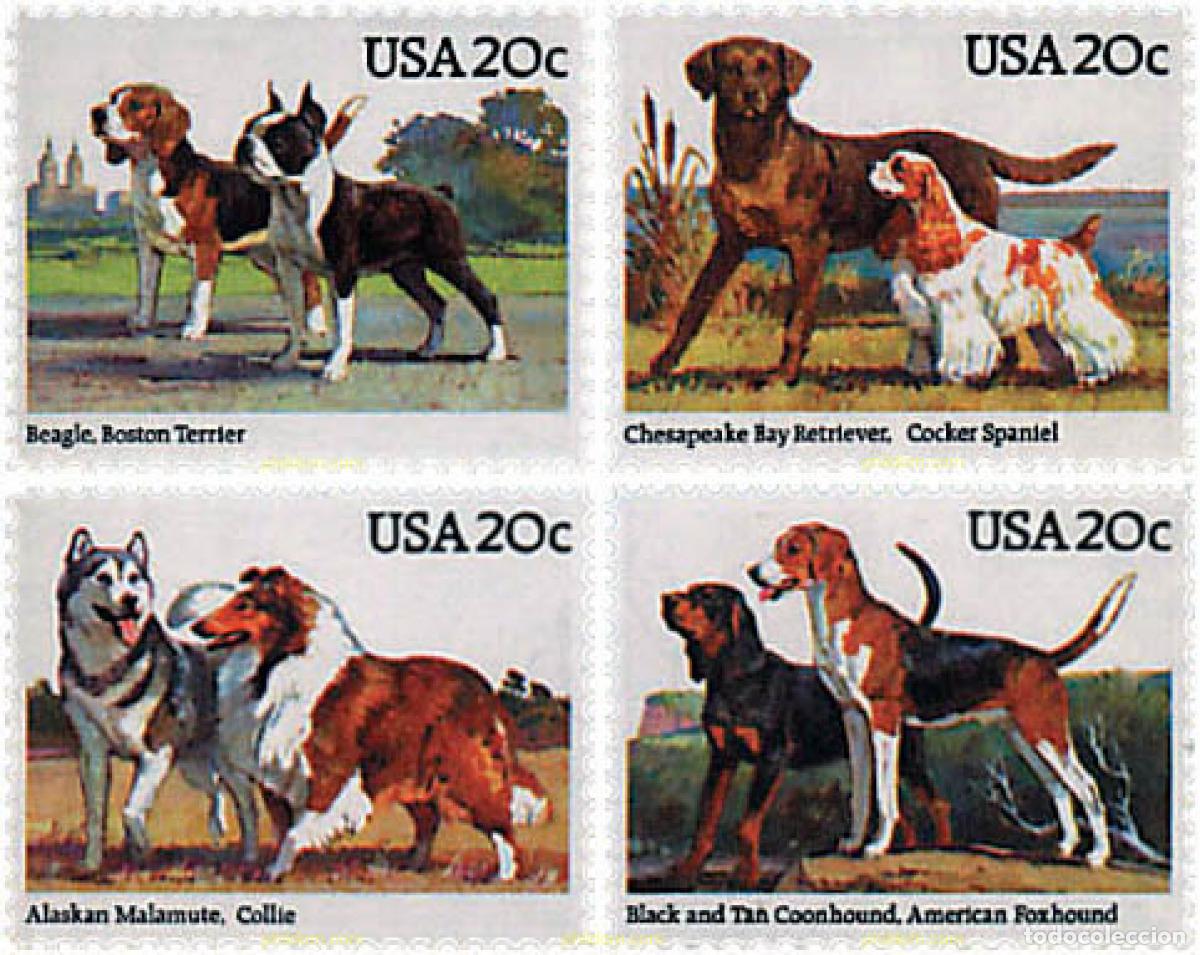 Sellos: 57670 MNH ESTADOS UNIDOS 1984 PERROS DE RAZA