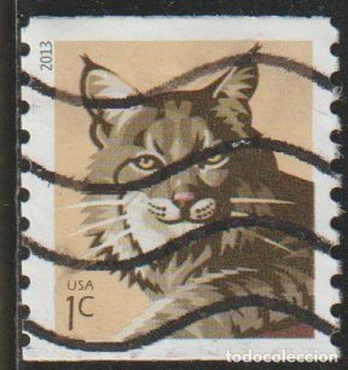Sellos: USA 2013 Scott 4802 Sello &ordm; Fauna Gato Montes (Lynx rufus) Michel 4996 Yvert 4633A Estados Unidos
