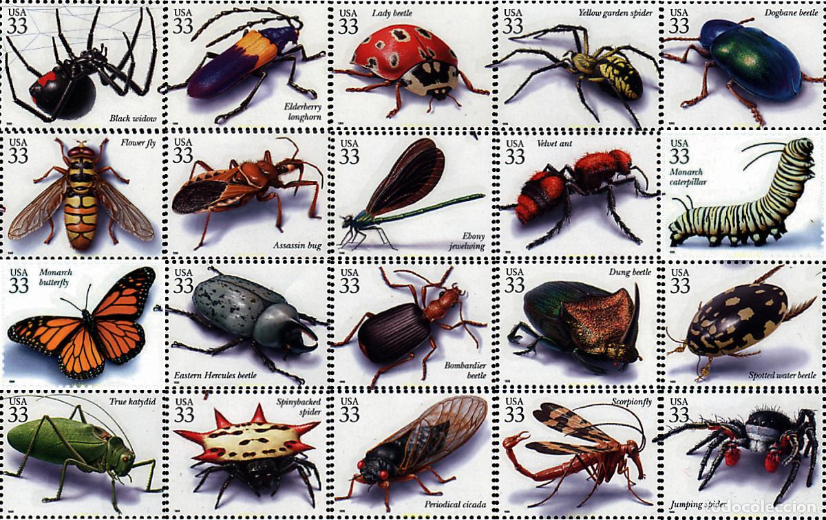 Sellos: 77750 MNH ESTADOS UNIDOS 1999 INSECTOS