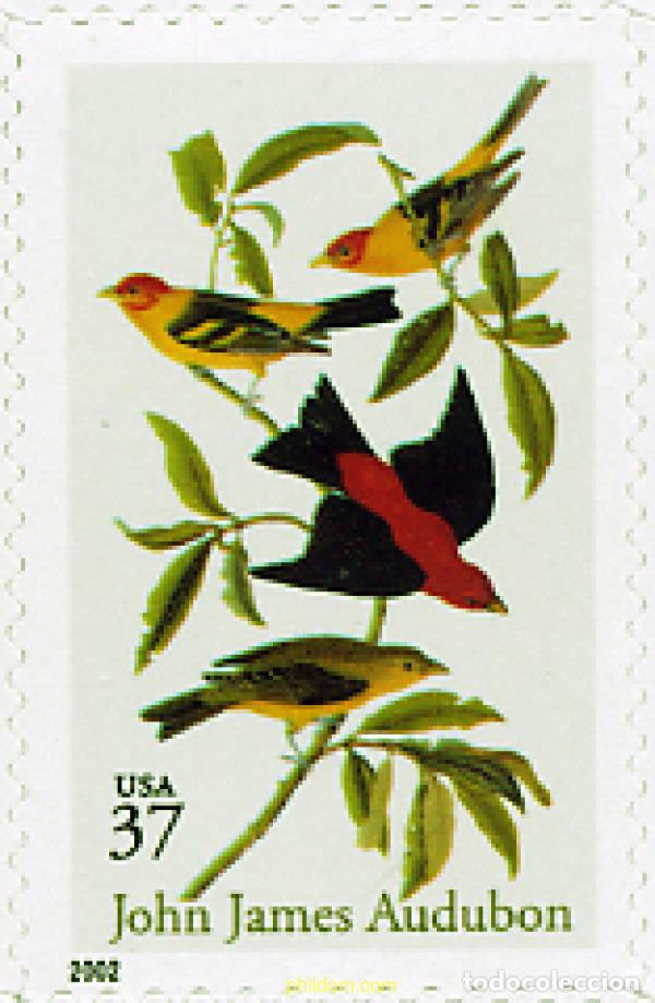 Sellos: 100489 MNH ESTADOS UNIDOS 2002 HOMENAJE A JOHN JAMES AUDUBON