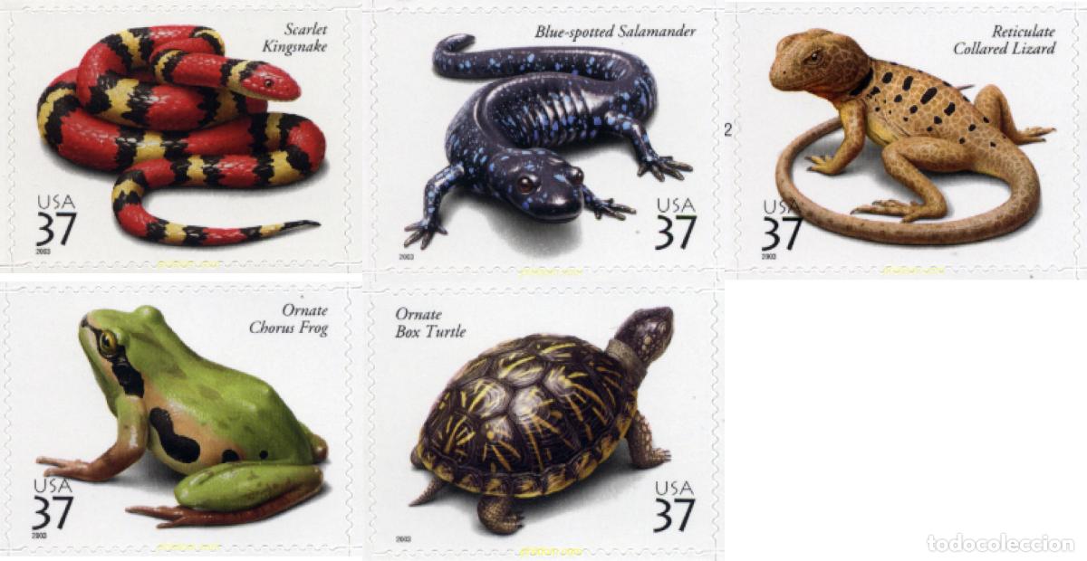 Sellos: 135181 MNH ESTADOS UNIDOS 2003 REPTILES Y ANFIBIOS