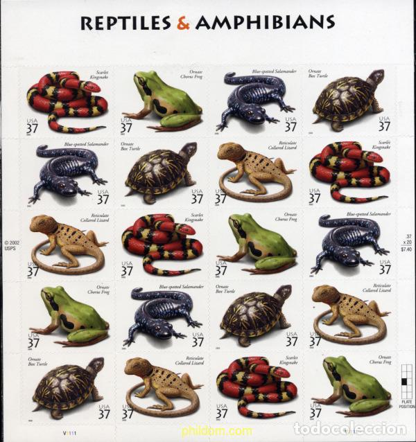 Sellos: 135182 MNH ESTADOS UNIDOS 2003 REPTILES Y ANFIBIOS
