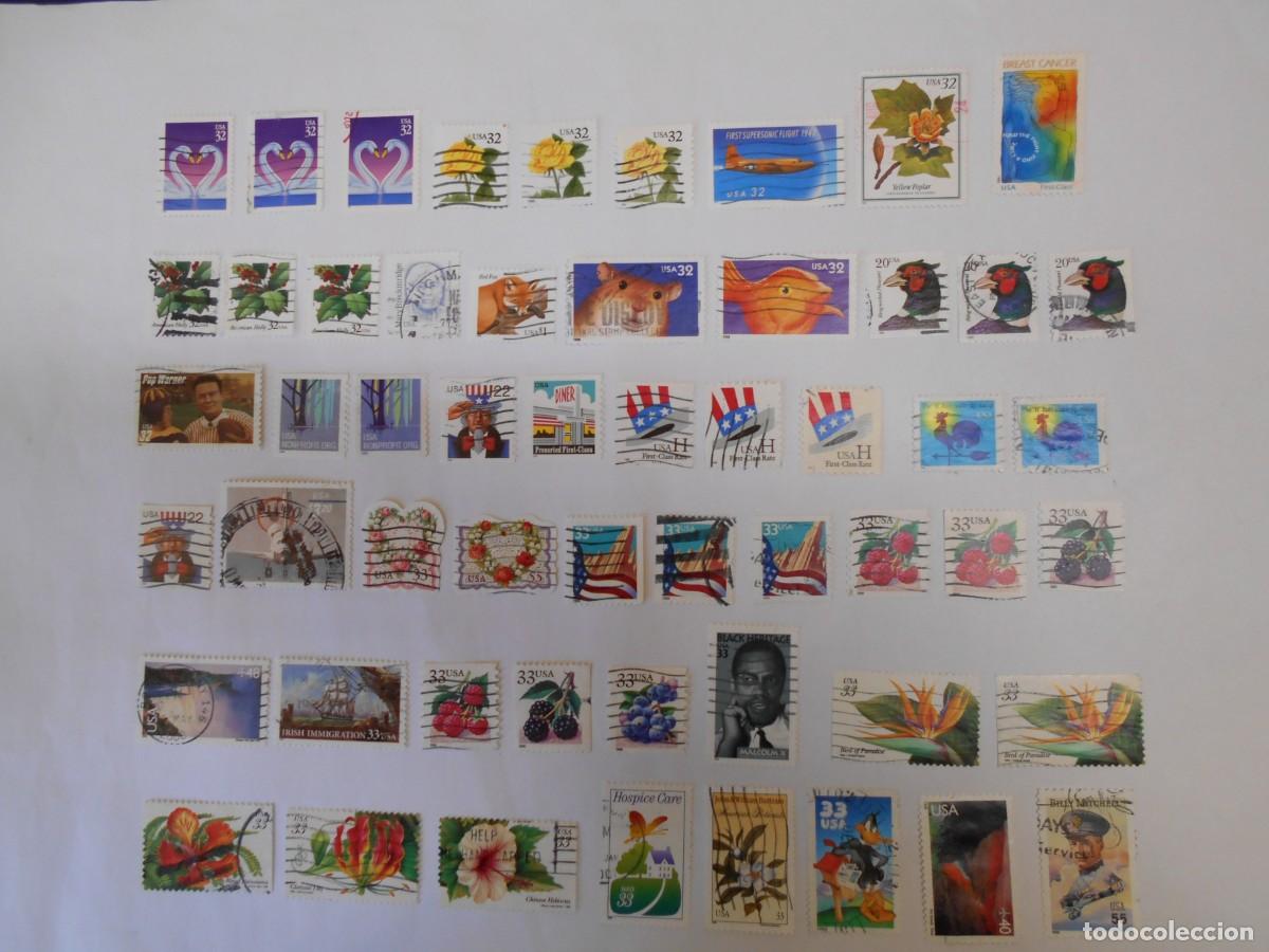 Sellos: ESTADOS UNIDOS, 100 SELLOS DIFERENTES, LOTE 13