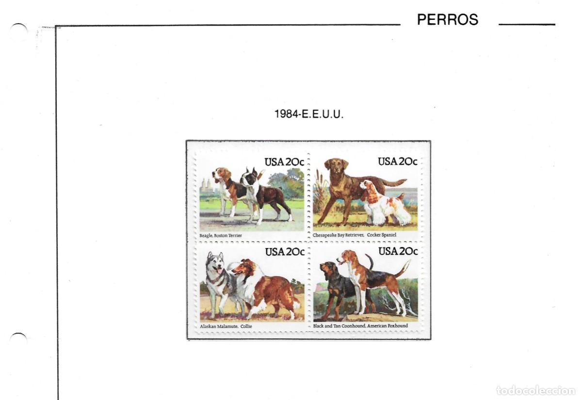 Sellos: EE.UU 1984 - Centenary of American Kennel Club - Y&T 1546/49 -Perros -(11)