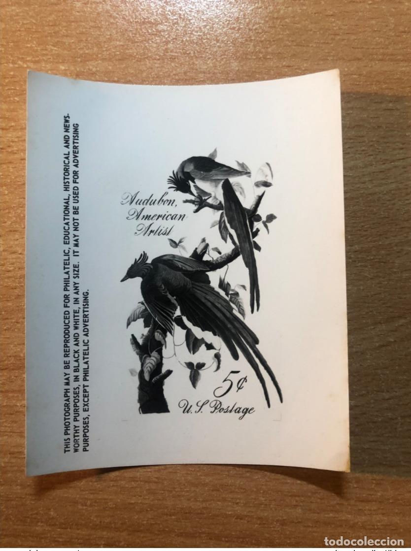 Sellos: Estados Unidos USPS -Ensayo publicitario Kodak Audubon American Artist Birds