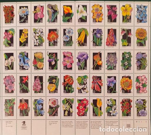 Sellos: Hoja bloque / Pliego completo sellos USA 1991 - Wildflowers (Flores silvestres)