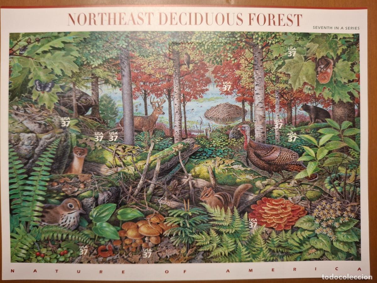 Timbres: HB389 HOJITAS BLOQUE de ESTADOS UNIDOS en NUEVO ideal para tematicas (leer descripcion)