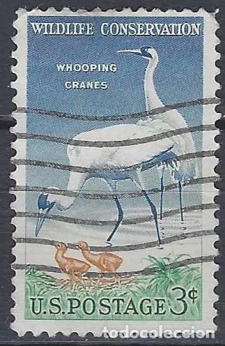 Francobolli: ESTADOS UNIDOS 1957 - FAUNA, AVES - USADO