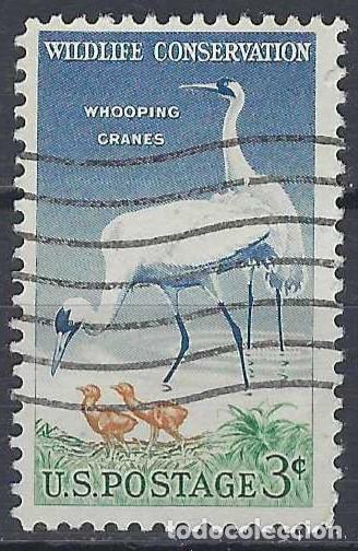 Francobolli: ESTADOS UNIDOS 1957 - FAUNA, AVES - USADO
