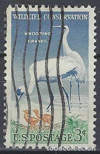 Briefmarken: ESTADOS UNIDOS 1957 - FAUNA, AVES - USADO