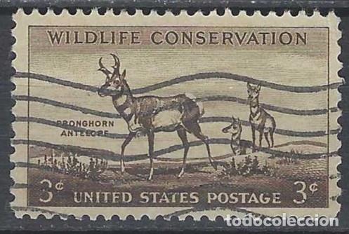Briefmarken: ESTADOS UNIDOS 1956 - CONSERVACI&Oacute;N DE LA NATURALEZA - USADO