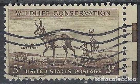 Briefmarken: ESTADOS UNIDOS 1956 - CONSERVACI&Oacute;N DE LA NATURALEZA - USADO