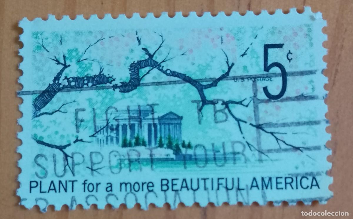 Timbres: EEUU - V/F 5 C - PLANTA HERMOSA PARA UNA AM&Eacute;RICA, A&Ntilde;O 1966 - VER DESCRIPCI&Oacute;N