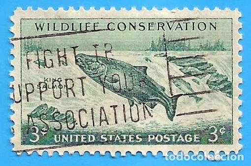 Sellos: Estados Unidos. 1956. Scott # 1079. Conservacion de la Vida Salvaje. Salmon