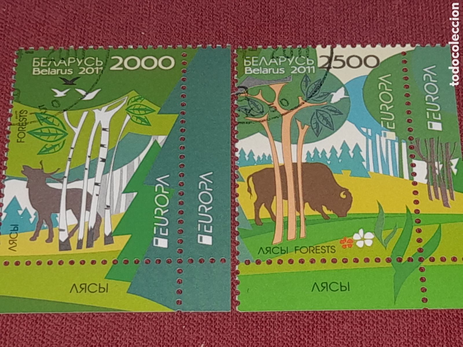 Sellos: Sello Bielorrusia mtdo 2011. Emisi&oacute;n conjunta Europa. CEPT. Bosques. Naturaleza. Fauna. Aves. B&uacute;falo