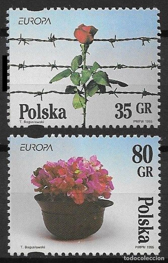 Sellos: POLONIA 1995 - TEMA EUROPA - PAZ Y LIBERTAD - 2 SELLOS