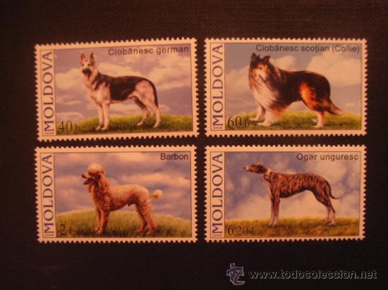 Selos: MOLDAVIA N&ordm; YVERT 489/2*** A&Ntilde;O 2006. FAUNA. PERROS