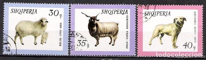 Sellos: ALBANIA 1966 - USADO - Foto 1
