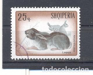 Sellos: ALBANIA  , USADO - Foto 1