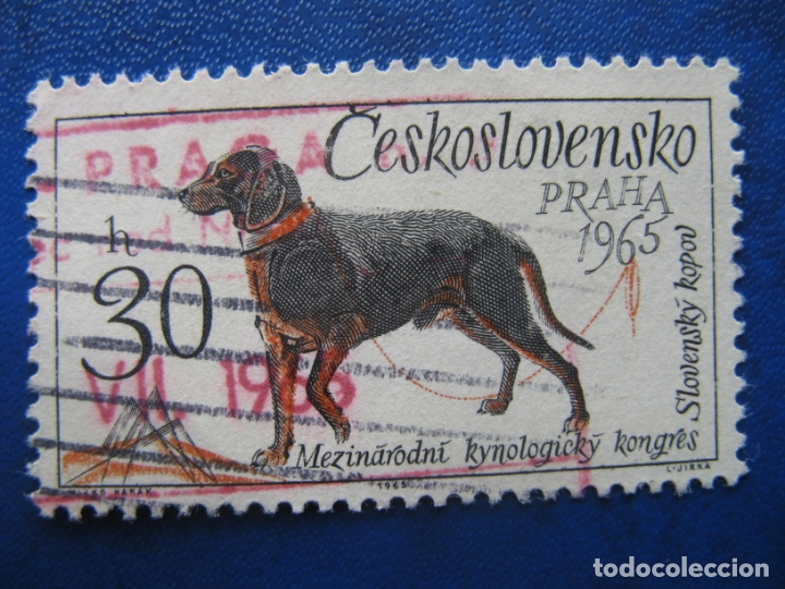 Timbres: checoslovaquia, 1965 exposiciones caninas, Yvert 1408
