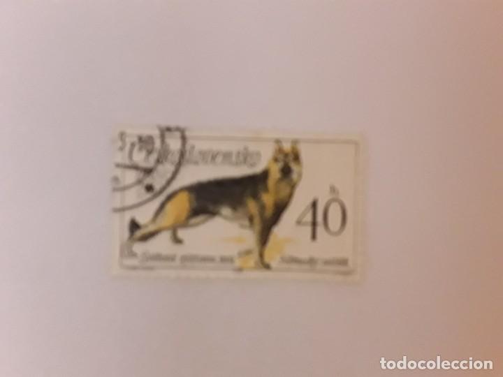Sellos: CESKOSLOVENSKO SELLO USADO - Foto 1